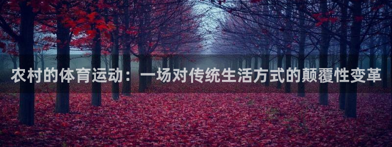 沐鸣24官网：农村的体育运动：一场对传统生活方式的颠覆性变革