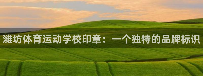 意昂体育官网：潍坊体育运动学校印章：一个独特的品牌标识