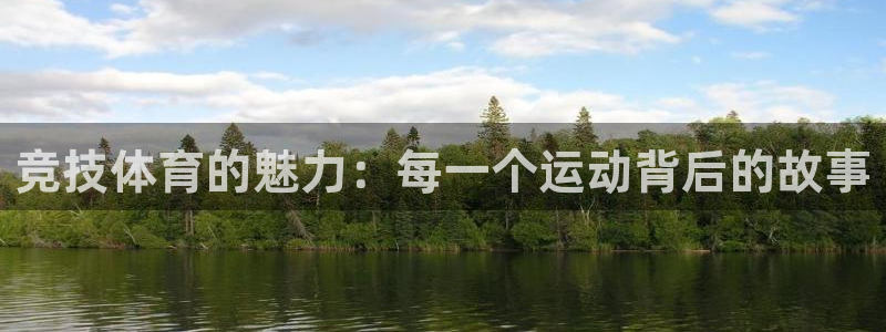 成都意昂电子有限公司：竞技体育的魅力：每一个运动背后的故事