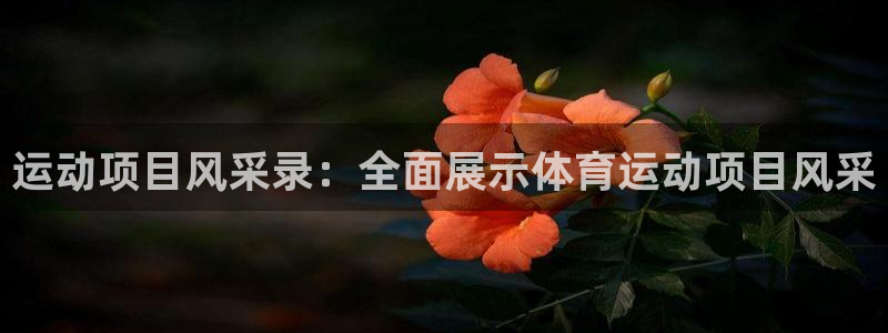 意昂代理注册官网入口：运动项目风采录：全面展示体育运动项目风采