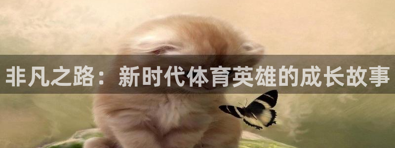 沐鸣22平台注册：非凡之路：新时代体育英雄的成长故事